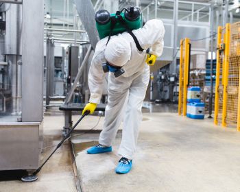 diseño sin título 2025 11 25t212645.330